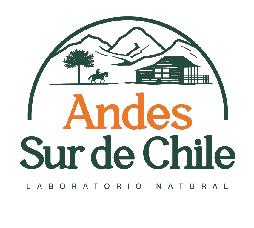 Andes del Sur Lab