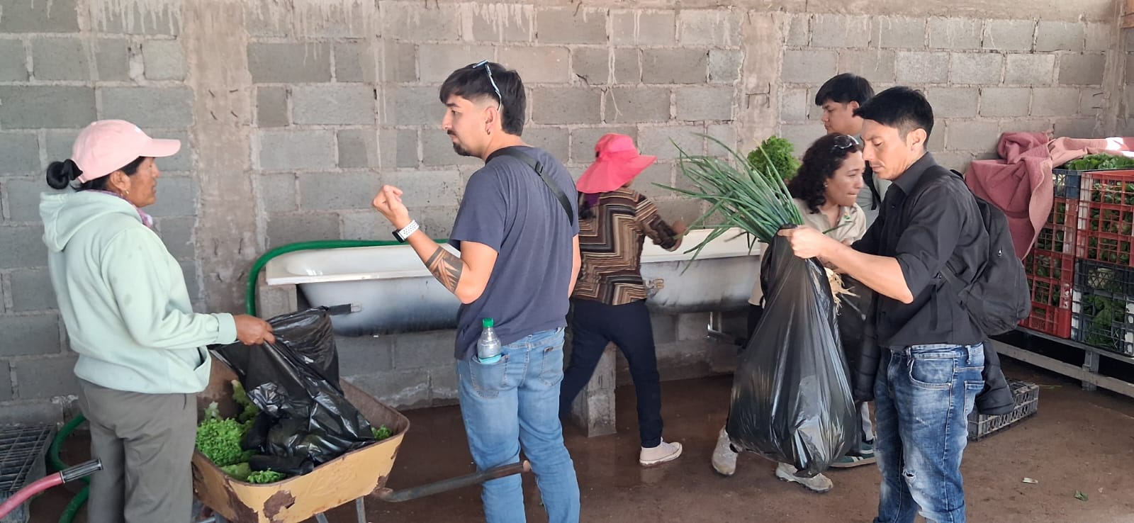 Misión Rescate de Germoplasma - Pintados y Pica
