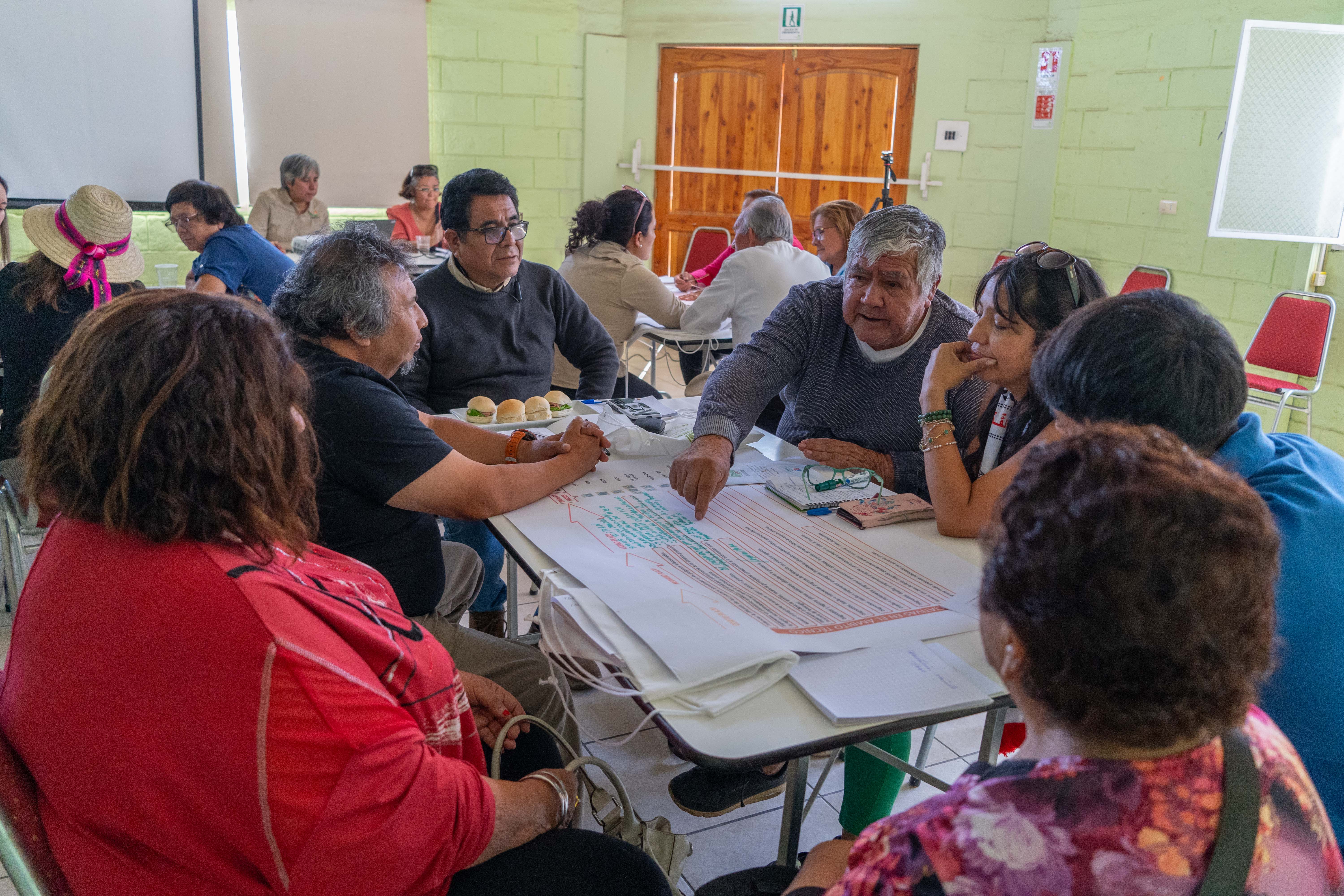 Actividad LabAncestral - Pica