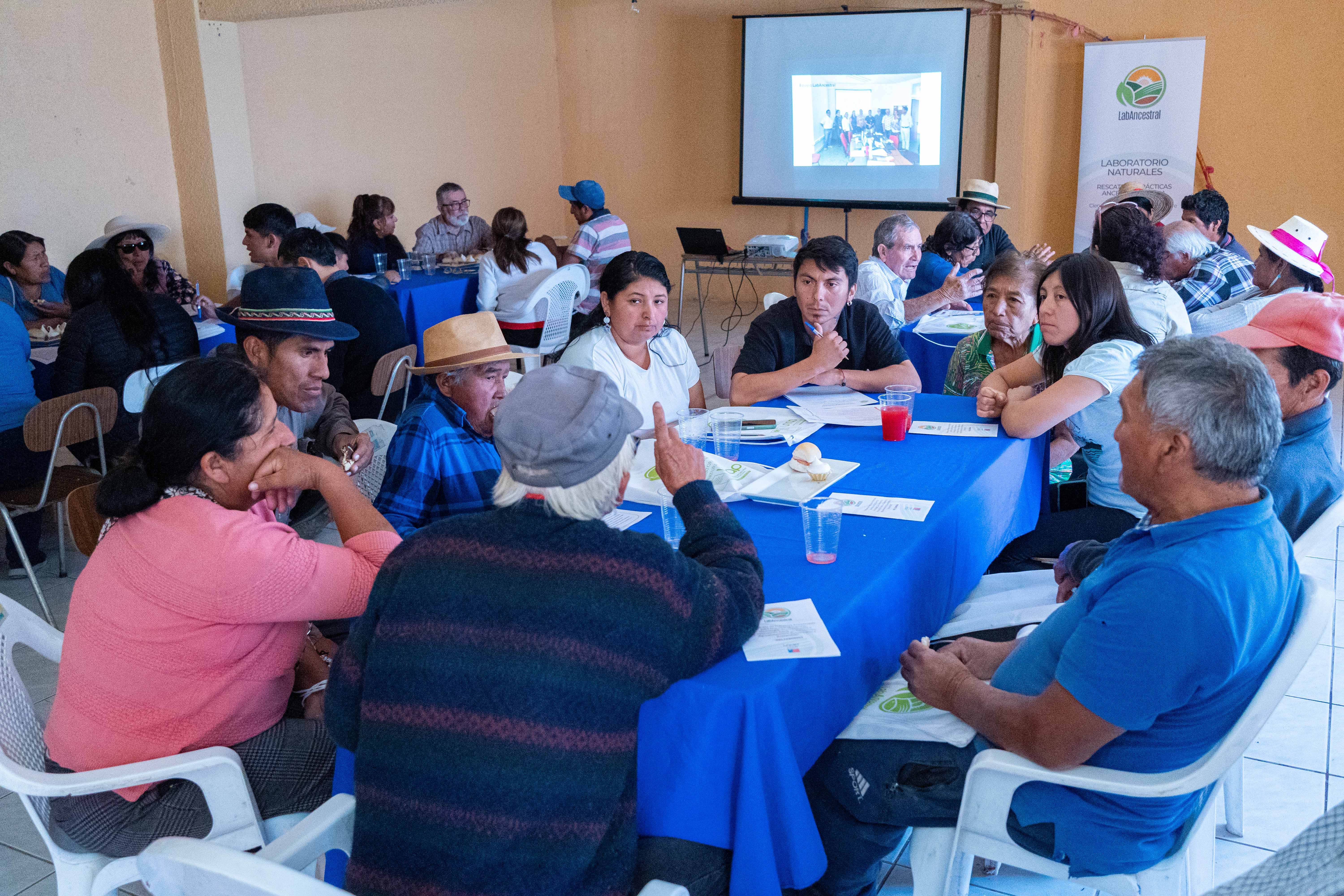 Actividad LabAncestral - Camiña