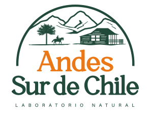 Nodo Andes Sur de Chile