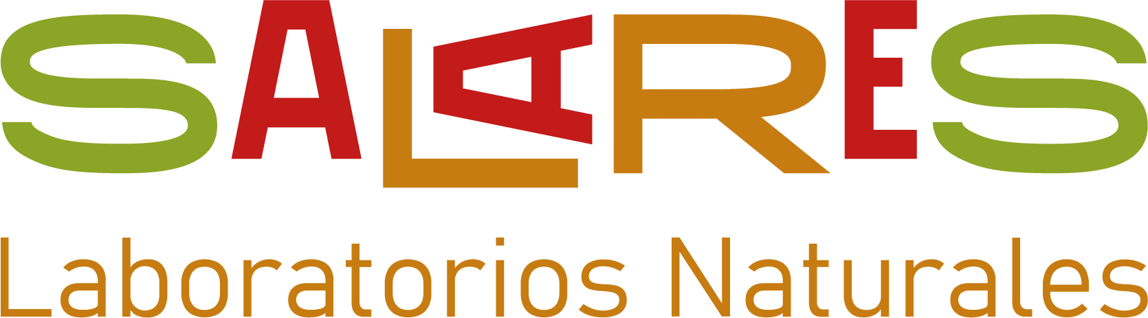 Nodo Salares
